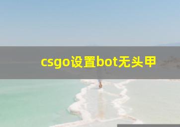 csgo设置bot无头甲