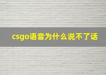 csgo语音为什么说不了话