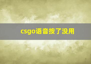 csgo语音按了没用