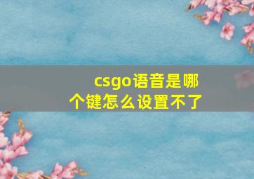 csgo语音是哪个键怎么设置不了