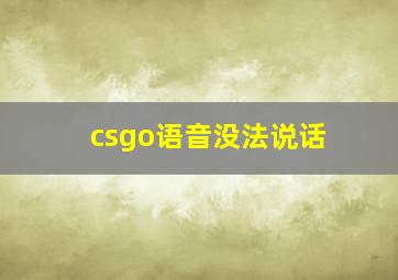 csgo语音没法说话