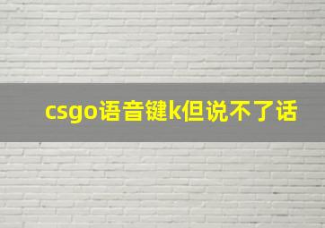 csgo语音键k但说不了话