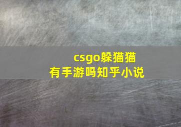 csgo躲猫猫有手游吗知乎小说