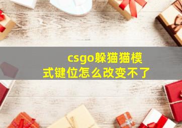 csgo躲猫猫模式键位怎么改变不了