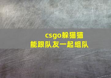 csgo躲猫猫能跟队友一起组队