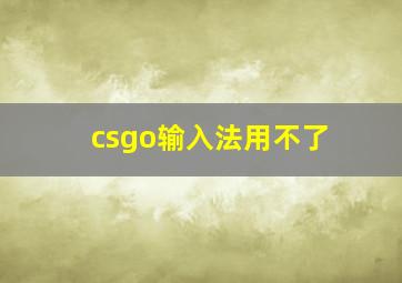 csgo输入法用不了