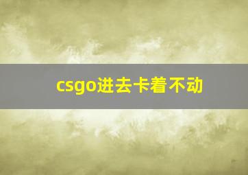 csgo进去卡着不动