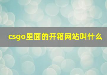 csgo里面的开箱网站叫什么