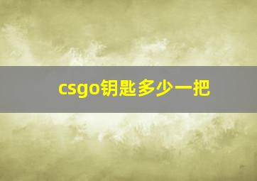 csgo钥匙多少一把