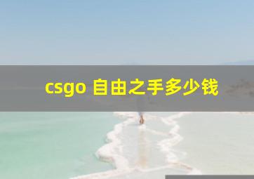 csgo 自由之手多少钱