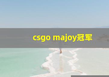 csgo majoy冠军