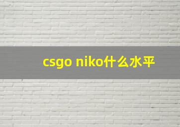 csgo niko什么水平