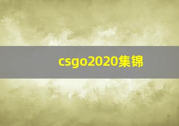 csgo2020集锦