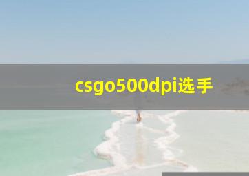 csgo500dpi选手