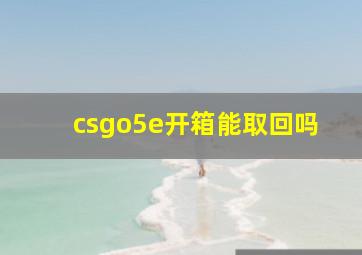 csgo5e开箱能取回吗