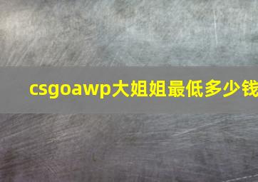 csgoawp大姐姐最低多少钱