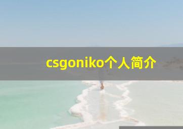 csgoniko个人简介