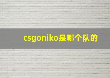 csgoniko是哪个队的