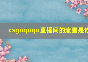 csgoququ直播间的流星是谁