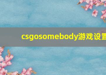 csgosomebody游戏设置