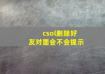 csol删除好友对面会不会提示