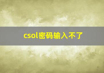 csol密码输入不了