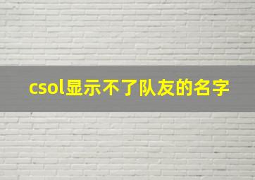 csol显示不了队友的名字