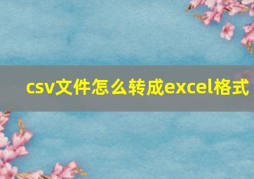 csv文件怎么转成excel格式