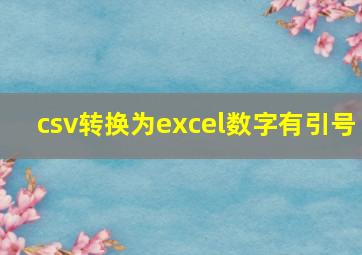 csv转换为excel数字有引号