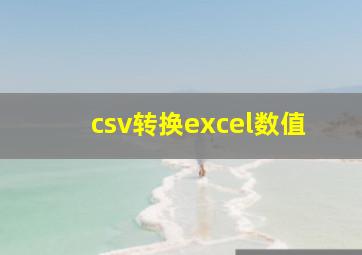 csv转换excel数值