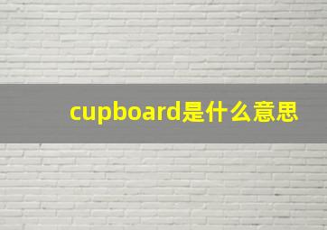 cupboard是什么意思