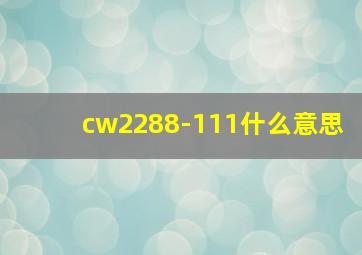 cw2288-111什么意思