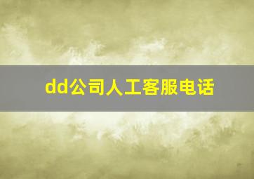 dd公司人工客服电话