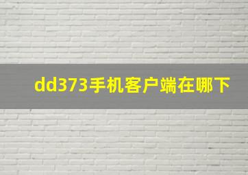 dd373手机客户端在哪下