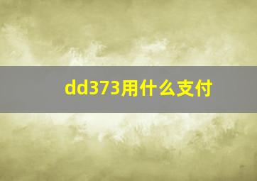 dd373用什么支付