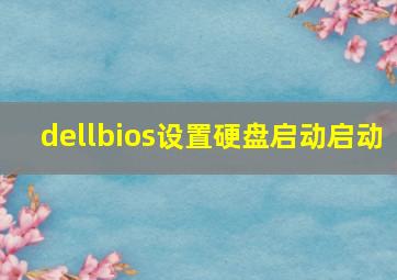 dellbios设置硬盘启动启动