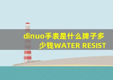 dinuo手表是什么牌子多少钱WATER RESIST