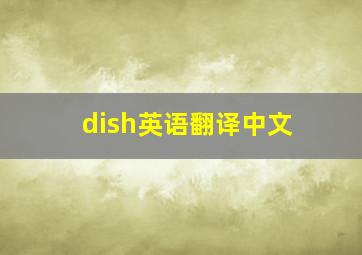 dish英语翻译中文