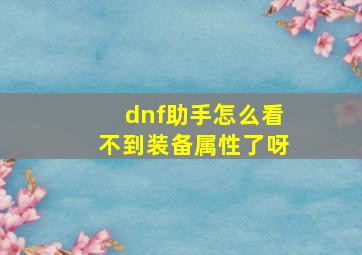 dnf助手怎么看不到装备属性了呀