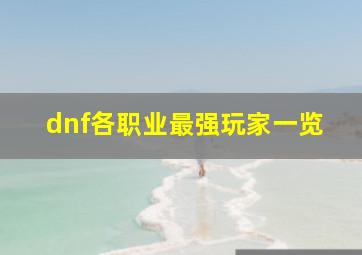 dnf各职业最强玩家一览