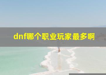 dnf哪个职业玩家最多啊