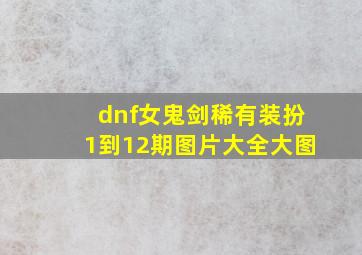 dnf女鬼剑稀有装扮1到12期图片大全大图