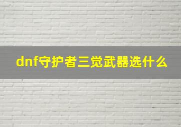 dnf守护者三觉武器选什么