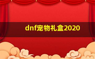 dnf宠物礼盒2020