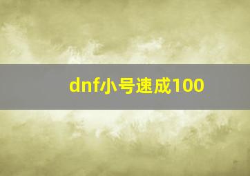 dnf小号速成100