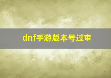 dnf手游版本号过审