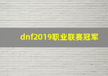 dnf2019职业联赛冠军