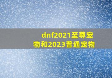 dnf2021至尊宠物和2023普通宠物