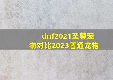 dnf2021至尊宠物对比2023普通宠物