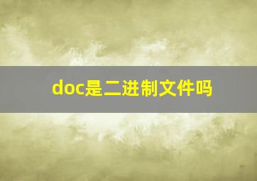 doc是二进制文件吗